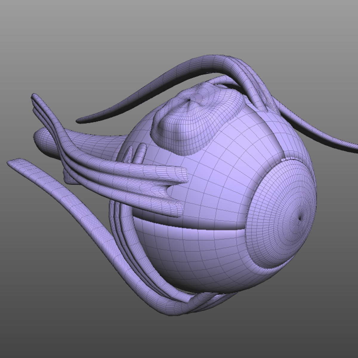 Eyes 3d model
