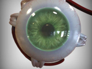 Green Eye 3D Model