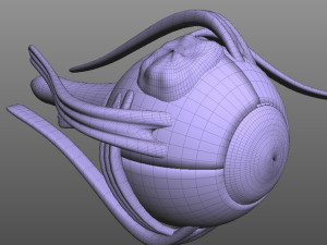 Green Eye 3Dモデル