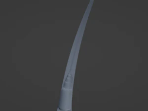 Hair Anatomy 3D Model