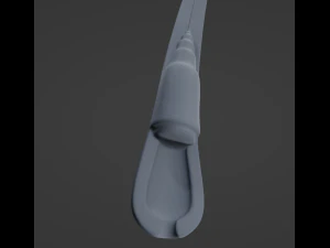 Hair Anatomy 3D Model