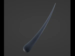 Hair Anatomy 3D Model