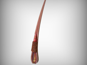 Hair Anatomy 3D Model