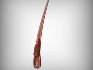 Hair Anatomy 3D Model