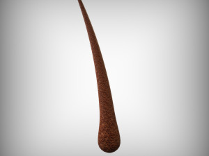Hair Anatomy 3D Model
