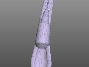 Hair Anatomy 3D Model