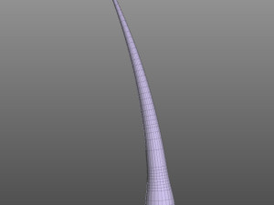 Hair Anatomy 3D Model