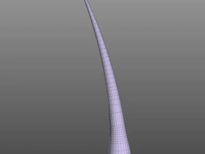 Hair Anatomy 3D Model