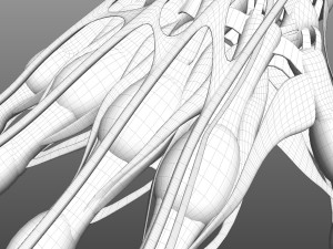 Hand Anatomy Modelo 3D