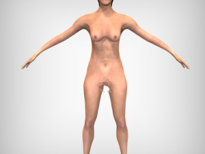 Human Heart 3D मॉडल