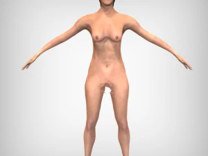 Cora&ccedil;&atilde;o Humano Modelo 3D