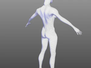 Cora&ccedil;&atilde;o Humano Modelo 3D