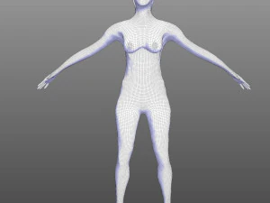Cora&ccedil;&atilde;o Humano Modelo 3D