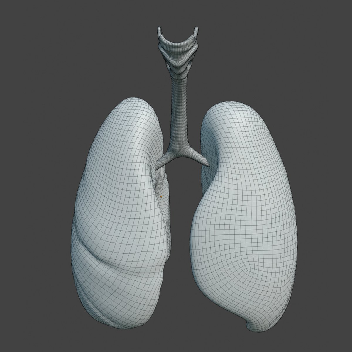 Легкие 3 д модели. Моделирование черепа. Легкие 3 д модели. Референс для 3d max. Low poly животные 3d принтер.