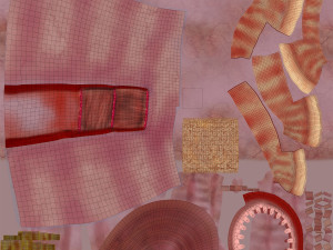 Intestine Anatomy Modèle 3D