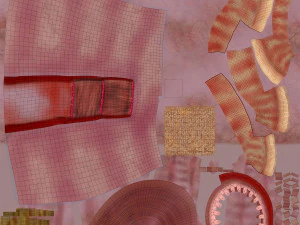Intestine Anatomy 3D Model