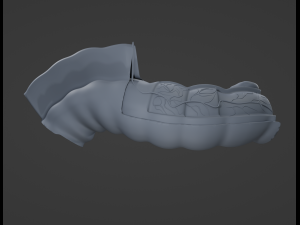Intestine Anatomy Modèle 3D
