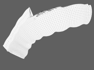 Intestine Anatomy Modèle 3D