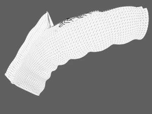 Intestine Anatomy 3D Model