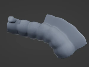Intestine Anatomy 3D Model