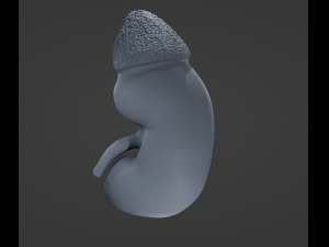 Human Kidney Anatomy 3D-Modell