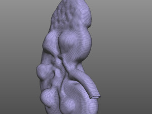 Human Kidney Anatomy 3D-Modell