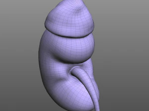 Rene umano Modello 3D