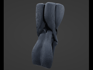 Knee Anatomy 3D Model