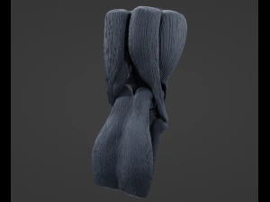 Knee Anatomy 3D Model