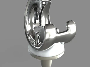 Knee Replacement 3D Model