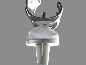 Knee Replacement Modelo 3D