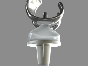 Knee Replacement 3D Model