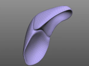 Human Liver 3D Model
