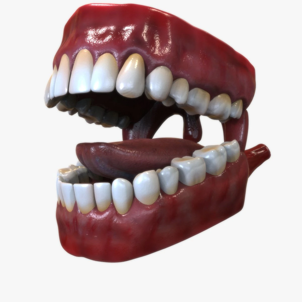 Human Mouth 3D Model .c4d .max .obj .3ds .fbx .stl .blend 