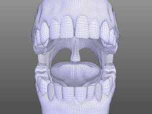 Human Mouth Modèle 3D