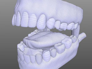 Human Mouth 3D Model