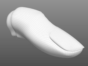 Human Finger Anatomy 3D Model