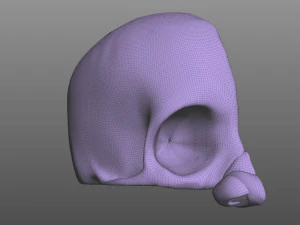 Anatomia del naso Modello 3D