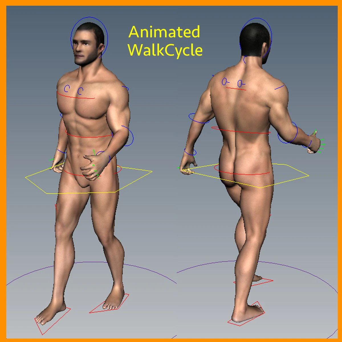 Rigged Male 3D Model .c4d .max .obj .3ds .fbx .stl .blend 