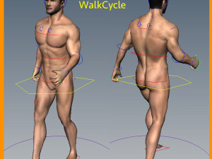 Rigged Male 3D Model