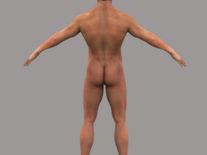 Rigged Male Modelo 3D