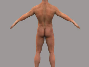 Rigged Male 3D Model