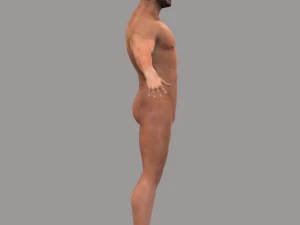 Rigged Male 3D Model