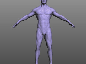 Rigged Male Modelo 3D