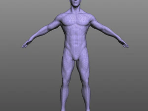 Rigged Male 3D Model