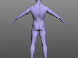 Rigged Male 3D Model