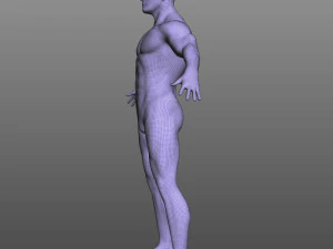 Rigged Male 3D Model