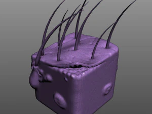 Skin Anatomy 3D Model