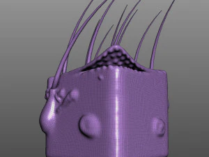 Skin Anatomy 3D Model