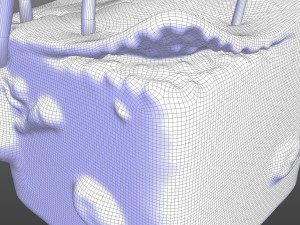 Skin Anatomy 3D 模型